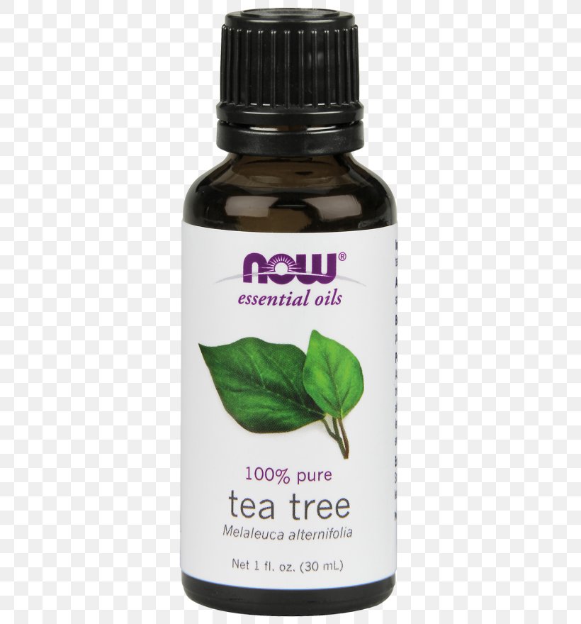 Essential Oil Tea Tree Oil Narrow-leaved Paperbark NOW Foods, PNG, 328x880px, Essential Oil, Aromatherapy, Cosmetics, Food, Health Download Free