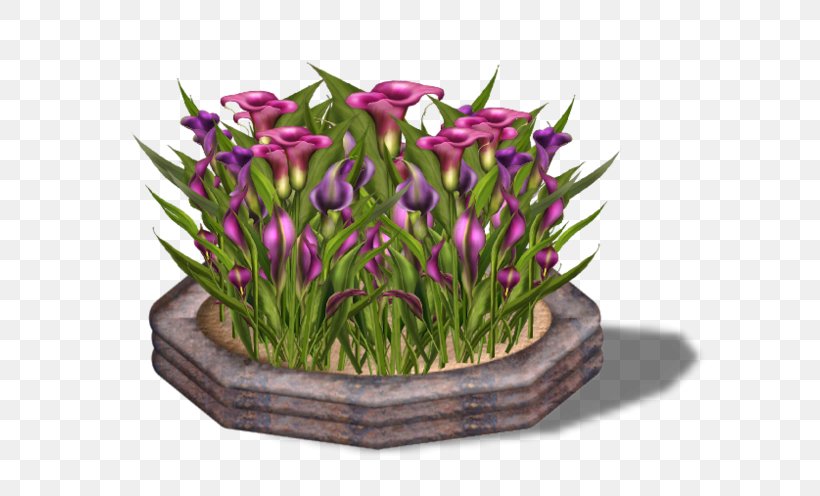 Floral Design Egyed Emmanuelle Cut Flowers Tulip, PNG, 600x496px, Floral Design, Crocus, Cut Flowers, Emmanuelle, Floristry Download Free