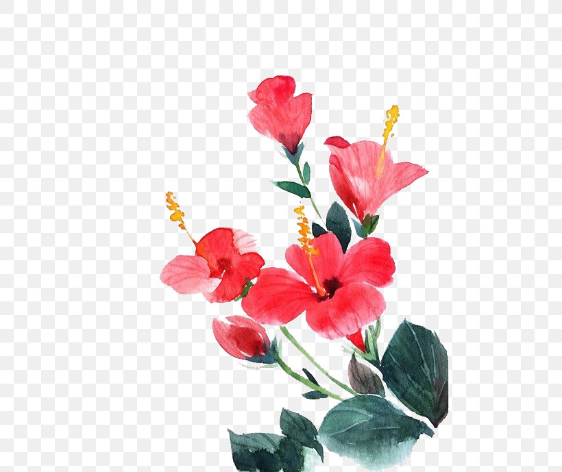 Flower Euclidean Vector Vecteur, PNG, 500x689px, Flower, Alstroemeriaceae, Blossom, Branch, Cut Flowers Download Free