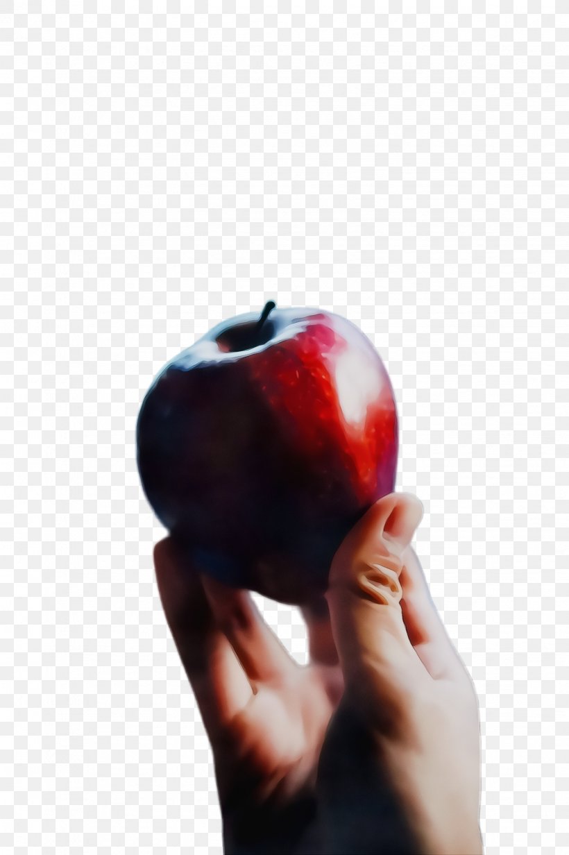 Fruit Apple Red Hand Plant, PNG, 1632x2452px, Watercolor, Apple, Finger, Food, Fruit Download Free