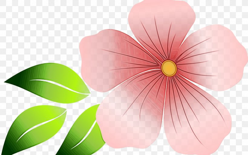 Pink Flower Cartoon, PNG, 1368x855px, Radisson Hotel, Annual Plant, Computer, Computer Network, Computer Program Download Free