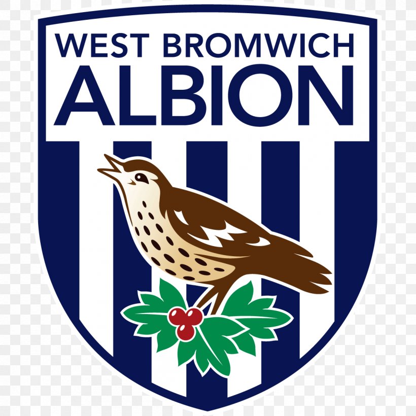 West Bromwich Albion F.C. The Hawthorns West Bromwich Albion, PNG, 1200x1200px, West Bromwich Albion Fc, Advertising, Area, Artwork, Beak Download Free