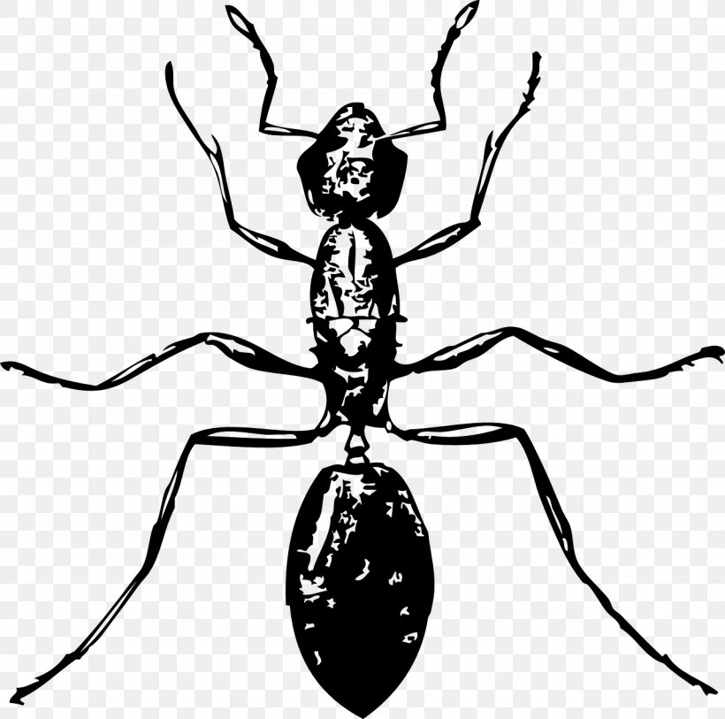 Ant Insect Clip Art, PNG, 1280x1270px, Ant, Arthropod, Artwork, Black And White, Black Carpenter Ant Download Free