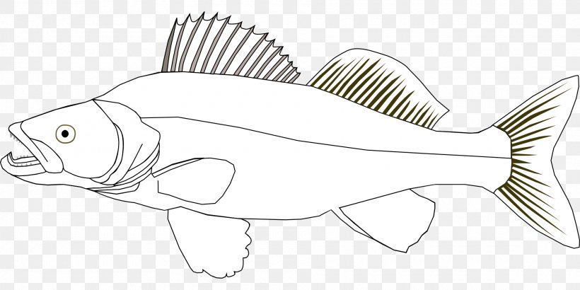 Coloring Book Northern Pike Walleye Fishing, PNG, 1920x960px, Coloring Book, Animal Figure, Artwork, Ausmalbild, Black And White Download Free