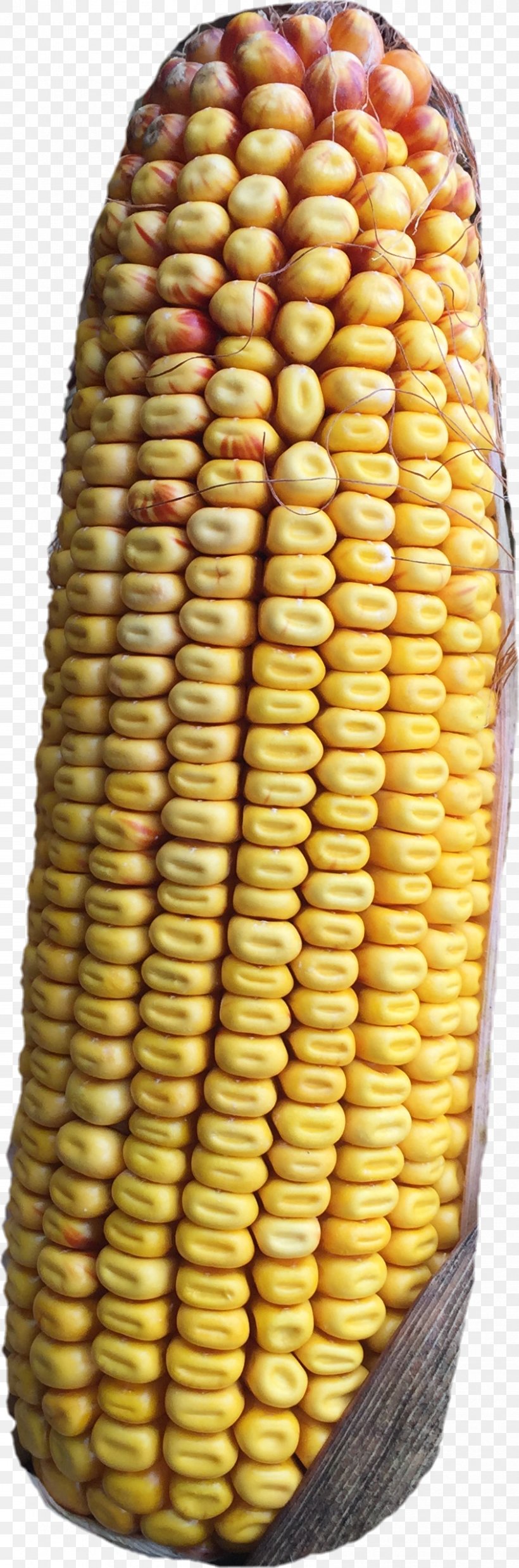 Corn On The Cob Commodity, PNG, 844x2546px, Corn On The Cob, Commodity, Corn, Corn Kernels, Cuisine Download Free