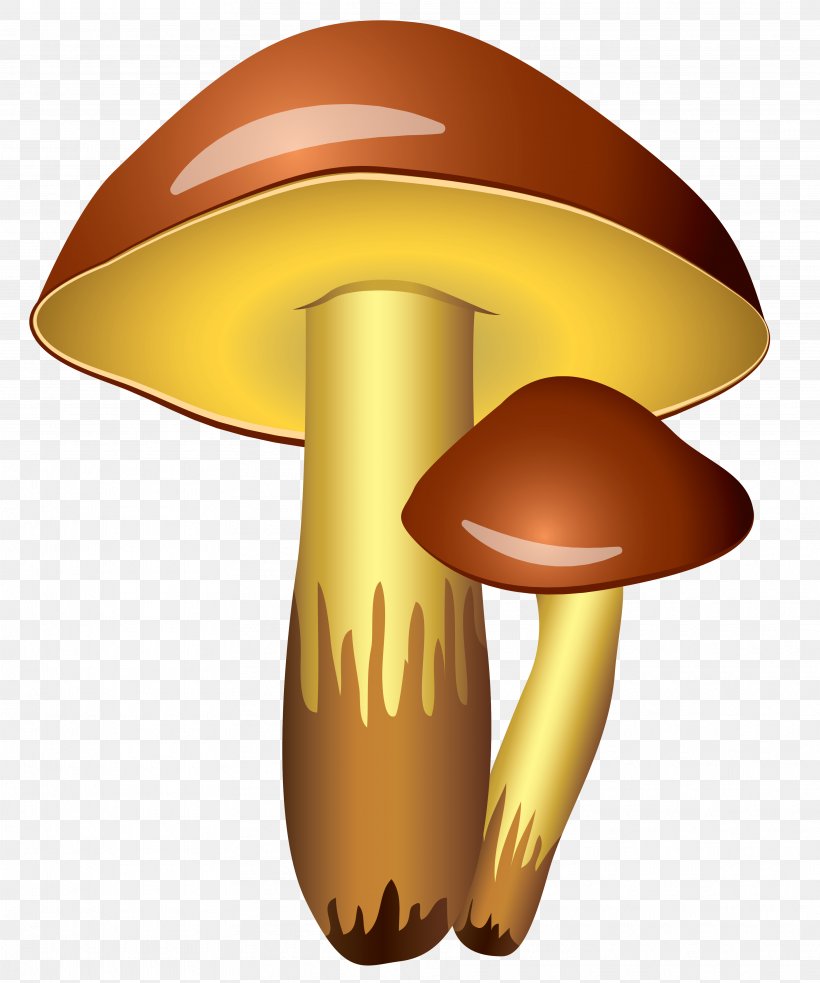 Mushroom Icon Clip Art, PNG, 3635x4360px, Mario, Common Mushroom, Edible Mushroom, Fungus, Hat Download Free