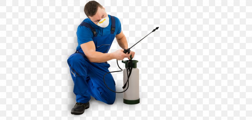 Pest Control Exterminator Termite Stock Photography, PNG, 1519x726px, Pest Control, Bed Bug, Business, Exterminator, Flea Download Free