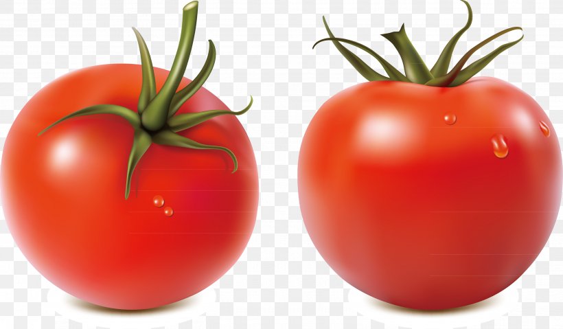 Salsa Tomato Royalty-free Illustration, PNG, 2625x1536px, Salsa, Bush Tomato, Diet Food, Food, Fruit Download Free