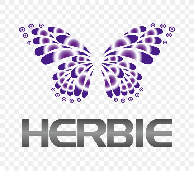Herbie 広島 Nightclub Club G Hiroshima Png 7x7px Nightclub About Us Association Brand Butterfly Download Free