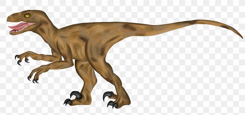 Velociraptor Tyrannosaurus Terrestrial Animal, PNG, 3552x1680px, Velociraptor, Animal, Animal Figure, Dinosaur, Organism Download Free