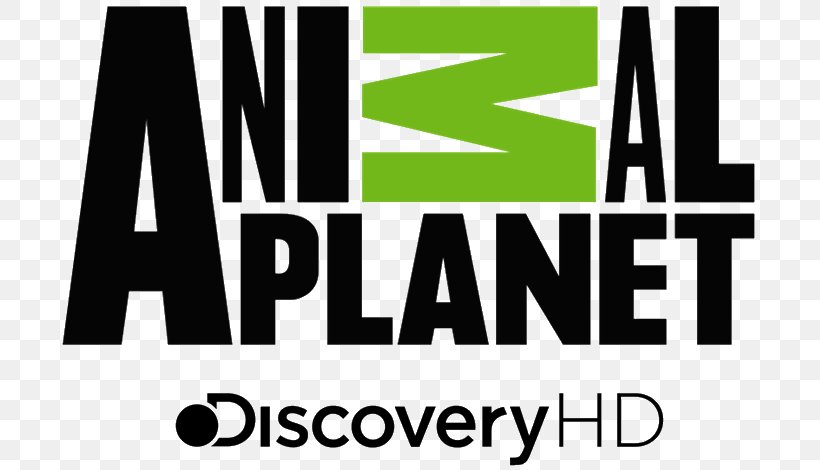Animal Planet Cat Television Channel Discovery, Inc., PNG, 705x470px, Animal Planet, Animal Planet Hd, Brand, Cat, Discovery Inc Download Free