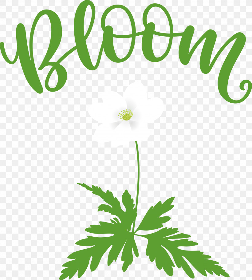 Bloom Spring Flower, PNG, 2699x3000px, Bloom, Bedroom, Decal, Flower, Leaf Download Free