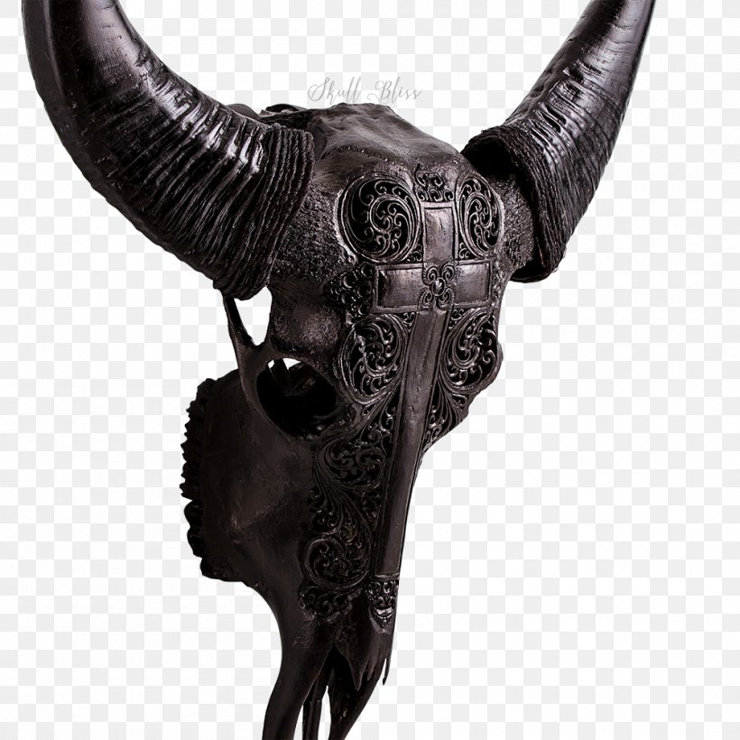 Cattle Horn Animal Skulls Ox Water Buffalo, PNG, 1000x1000px, Cattle, Animal, Animal Skulls, Art, Bison Download Free