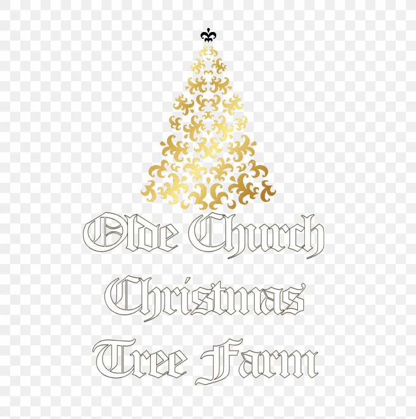 Christmas Tree Christmas Ornament Christmas Day Spruce Fir, PNG, 1041x1048px, Christmas Tree, Body Jewellery, Body Jewelry, Christmas, Christmas Day Download Free