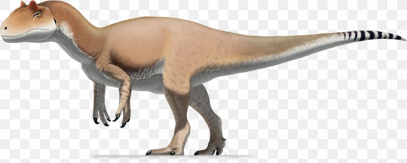 Allosaurus Antrodemus Saurophaganax Tyrannosaurus Stegosaurus, PNG, 1000x400px, Allosaurus, Allosauridae, Animal Figure, Antrodemus, Brachiosaurus Download Free