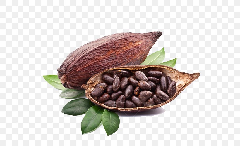 Criollo Cocoa Bean Chocolate Liquor Latin American Cuisine, PNG, 650x500px, Criollo, Bean, Chocolate, Chocolate Liquor, Cocoa Bean Download Free