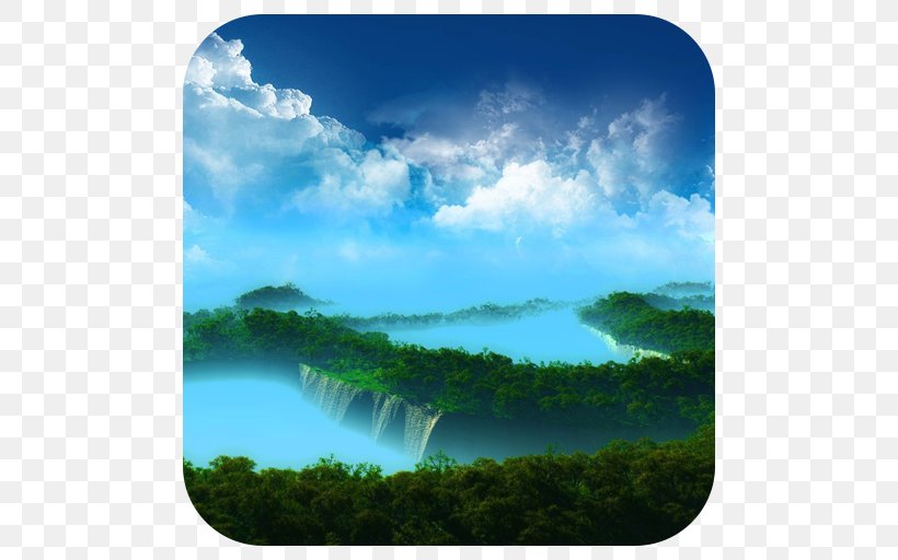 Desktop Wallpaper Tree Forest Display Resolution, PNG, 512x512px, 4k Resolution, Tree, Atmosphere, Calm, Computer Download Free