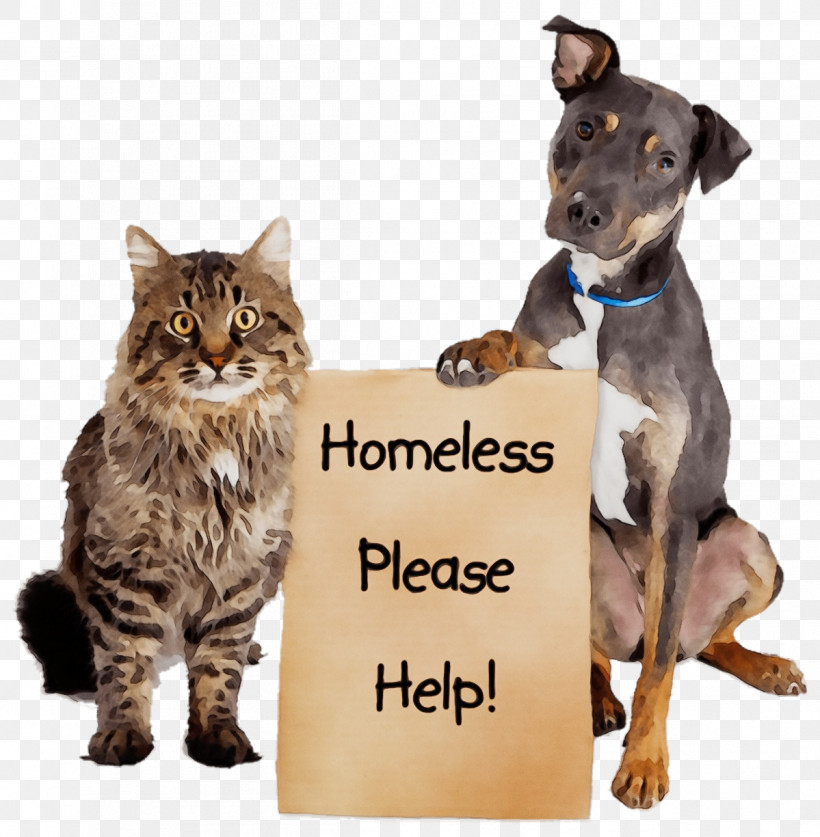 Dog Cat Animal Shelter Pet Adoption Animal Rescue Group, PNG, 1199x1225px, Watercolor, Abandoned Pets, Animal Control And Welfare Service, Animal Rescue Group, Animal Shelter Download Free