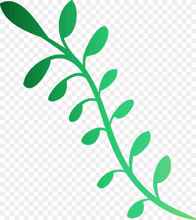 Leaf Plant Stem Twig Tree Line, PNG, 2676x3000px, Watercolor, Biology, Geometry, Leaf, Line Download Free