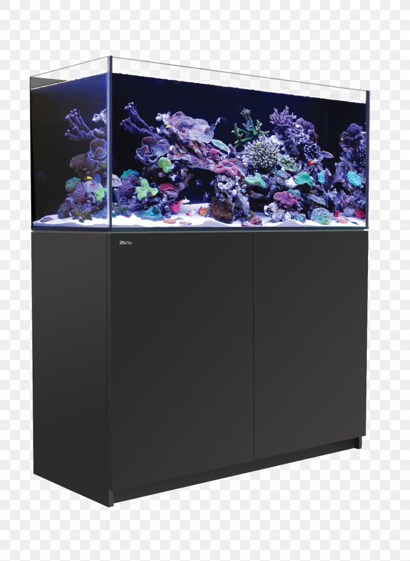 Red Sea Reefer 350 Aquariums Coral Reef Seawater Reef Aquarium, PNG, 1338x1831px, Red Sea Reefer 350, Aquarium, Aquarium Lighting, Aquariums, Coral Reef Download Free