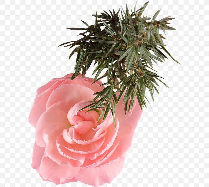 Rose Clip Art, PNG, 600x734px, Rose, Artificial Flower, Bud, Cut Flowers, Floral Design Download Free