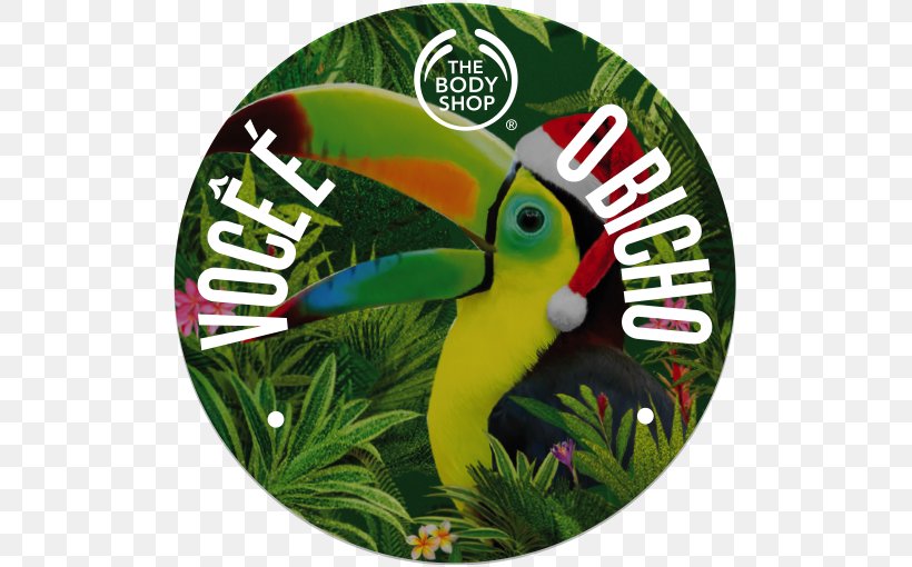 The Body Shop Beak, PNG, 510x510px, Body Shop, Beak, Fauna, Grass, Green Download Free