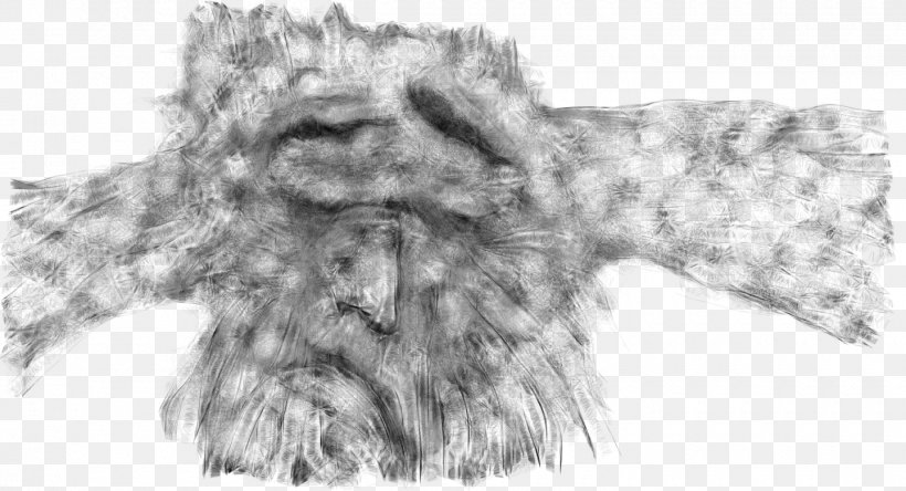 Whiskers Cat Fur Clothing Outerwear, PNG, 1440x781px, Whiskers, Artwork, Black And White, Canidae, Carnivoran Download Free