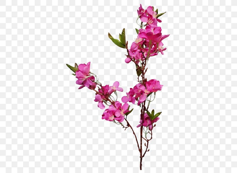 Cut Flowers Floral Design Plant Artificial Flower, PNG, 800x600px, Flower, Artificial Flower, Blossom, Branch, Cut Flowers Download Free