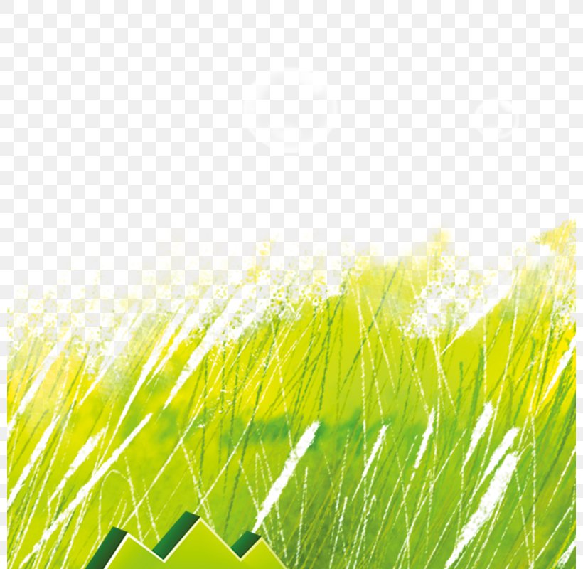 Green Icon, PNG, 800x800px, Green, Artworks, Color, Field, Graffiti Download Free
