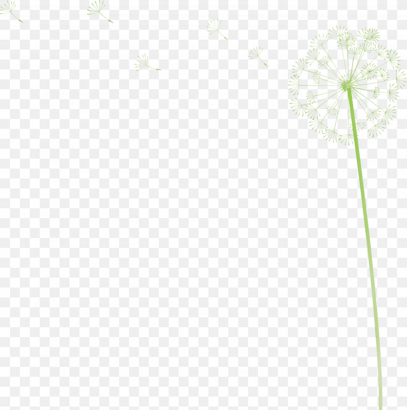 Plant Stem Flower Leaf Petal Tree, PNG, 2972x3000px, Dandelion, Biology, Flower, Geometry, Leaf Download Free