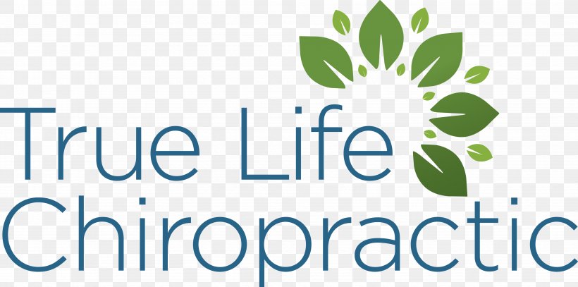 True Life Chiropractic Social Commerce Stanford Health, PNG, 3921x1948px, Social Commerce, Area, Brand, Business, Chiropractic Download Free