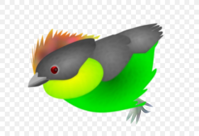 Beak Bird Clip Art, PNG, 800x560px, Beak, Bird, Cartoon, European Goldfinch, Fauna Download Free
