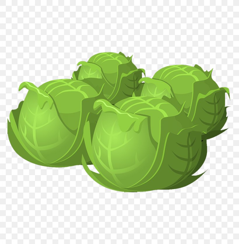 Cabbage Vegetable Clip Art, PNG, 1024x1045px, Cabbage, Brassica Oleracea, Carrot, Cartoon, Chinese Cabbage Download Free