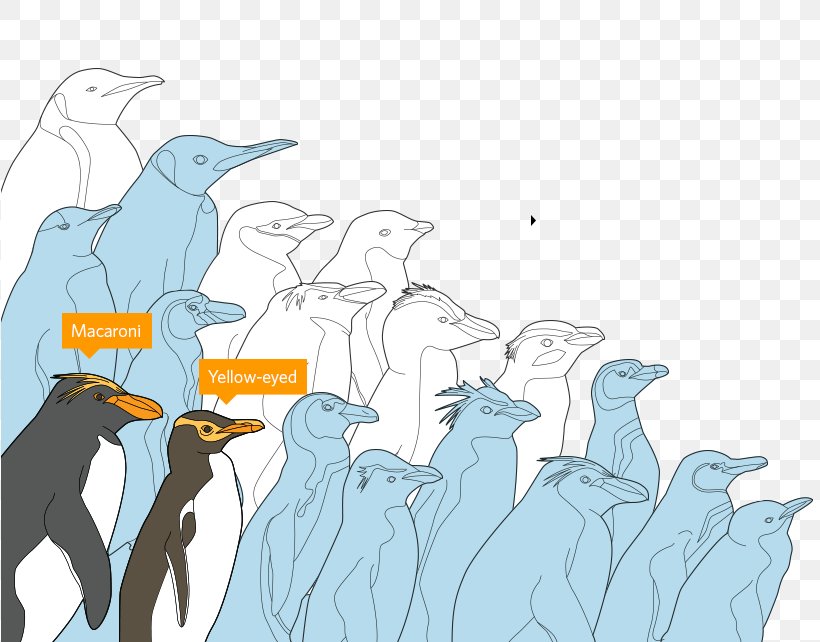 Emperor Penguin Flightless Bird Disease, PNG, 818x642px, Penguin, Art, Beak, Bird, Cartoon Download Free