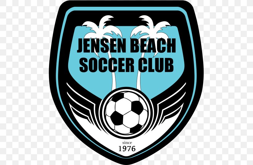 Football Team Beach Soccer Football Boot, PNG, 503x535px, Football Team, Area, Ball, Beach Soccer, Brand Download Free