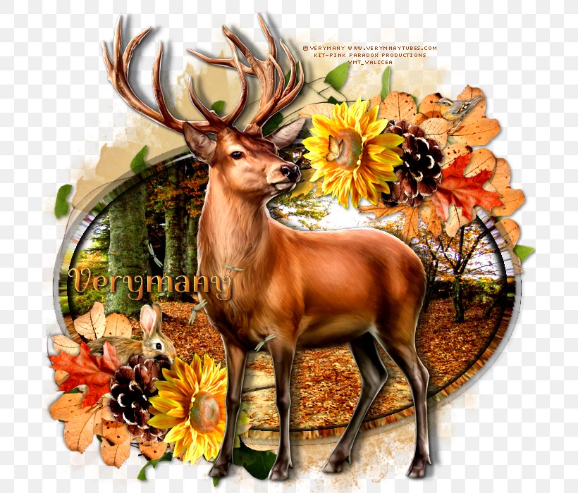 Reindeer Fauna Wildlife Flower, PNG, 700x700px, Reindeer, Deer, Fauna, Flower, Organism Download Free