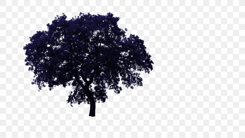 Tree Oak Clip Art, PNG, 1920x1080px, 2d Computer Graphics, Tree, Architectural Rendering, Branch, Display Resolution Download Free