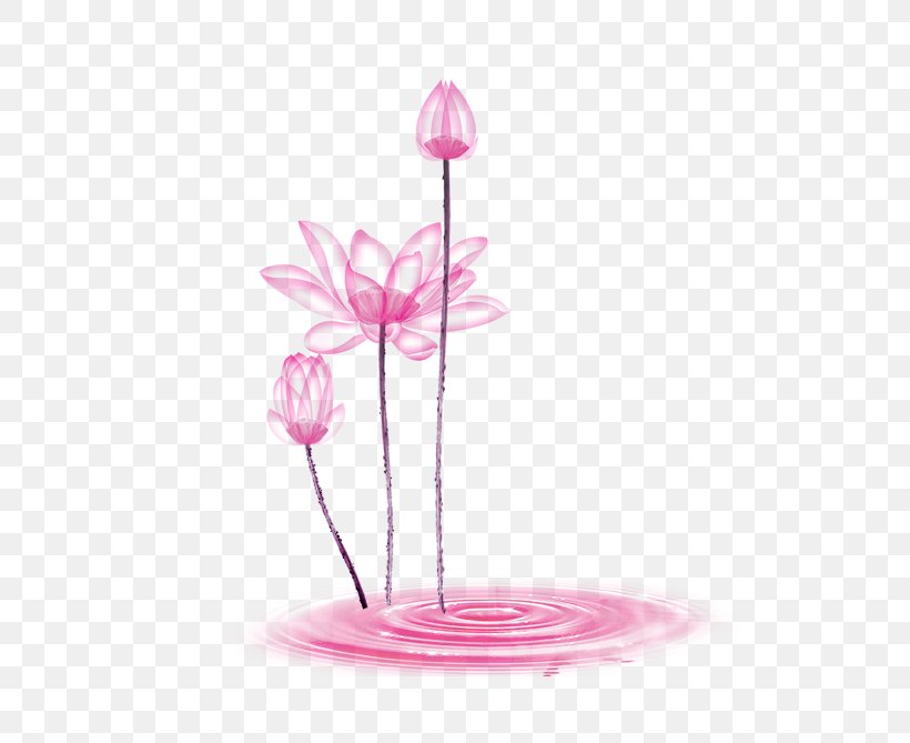 Download Clip Art, PNG, 540x669px, Pink, Computer Graphics, Flower, Flowering Plant, Flowerpot Download Free