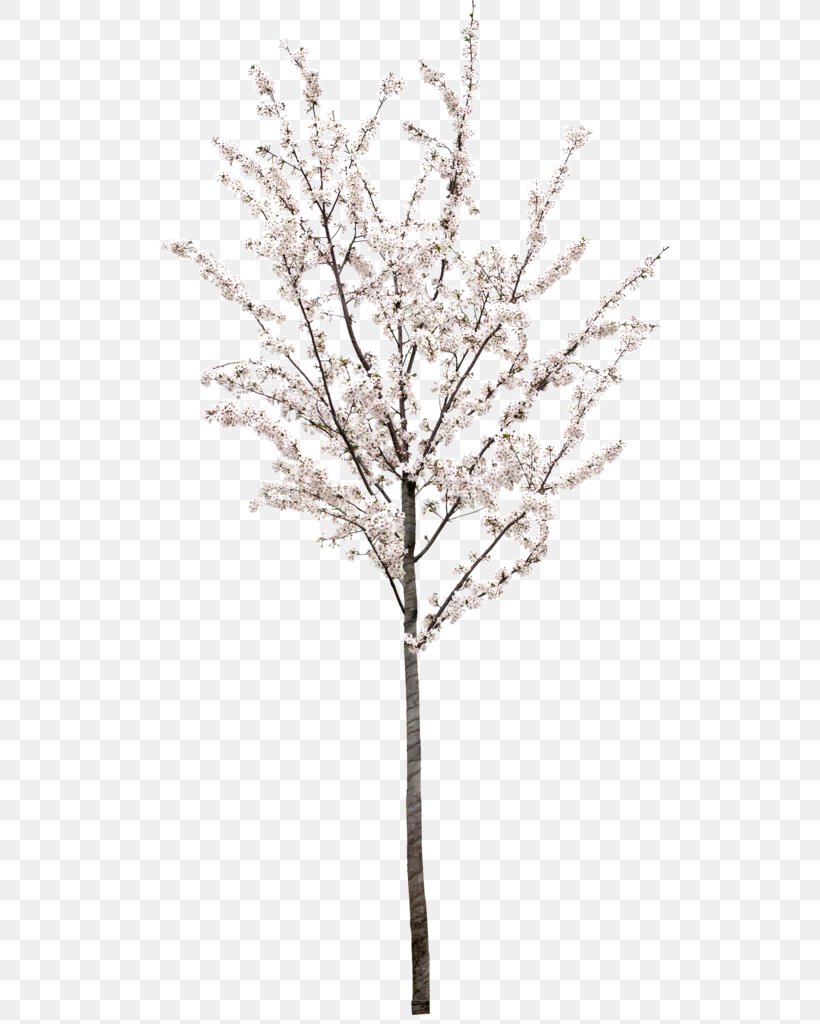 Stock Photography Royalty-free Tree Stock.xchng Illustration, PNG, 548x1024px, Stock Photography, Blossom, Branch, Cherry Blossom, Christmas Day Download Free