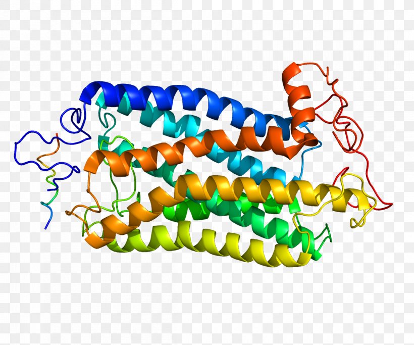 Tachykinin Receptor 1 Tachykinin Peptides NK1 Receptor Antagonist, PNG, 1200x1000px, Receptor, Acetylcholine Receptor, Agonist, Art, Bead Download Free