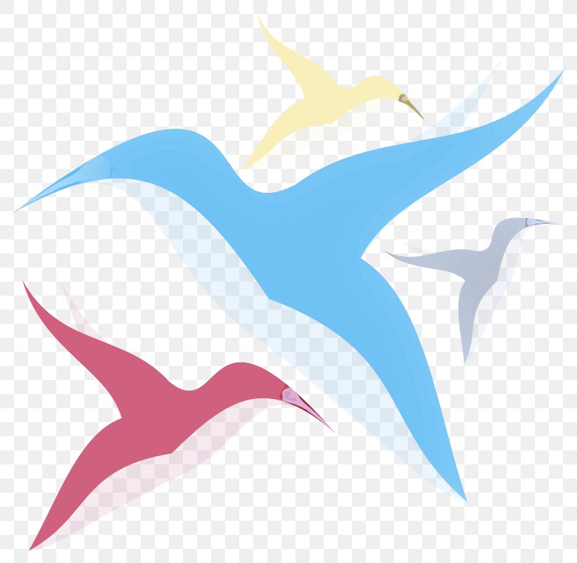 Clip Art Seabird Swallow Wing, PNG, 800x800px, Seabird, Swallow, Wing Download Free