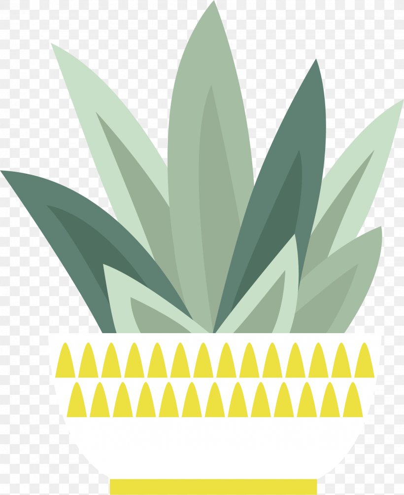 Euclidean Vector Cactaceae Drawing, PNG, 1839x2251px, Cactaceae, Drawing, Euclidean Space, Grass, Gratis Download Free