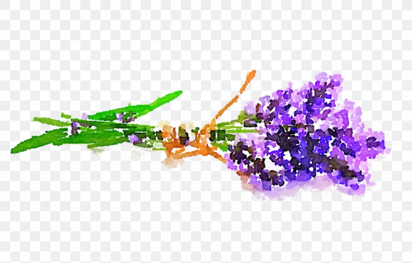 Transparent Watercolor Flower Violet Watercolor Painting, PNG, 1024x654px, Transparent Watercolor, Art, Deviantart, Drawing, Flower Download Free