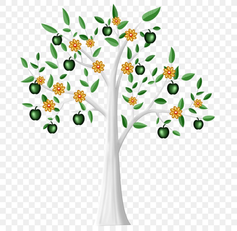 Tree Drawing Apple Clip Art, PNG, 698x800px, Tree, Apple, Branch, Drawing, Flora Download Free