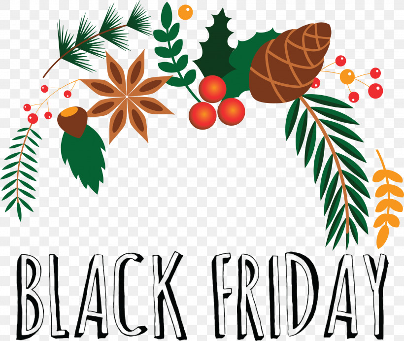 Black Friday Shopping, PNG, 3000x2535px, Black Friday, Branch, Christmas Day, Conifers, Leaf Download Free