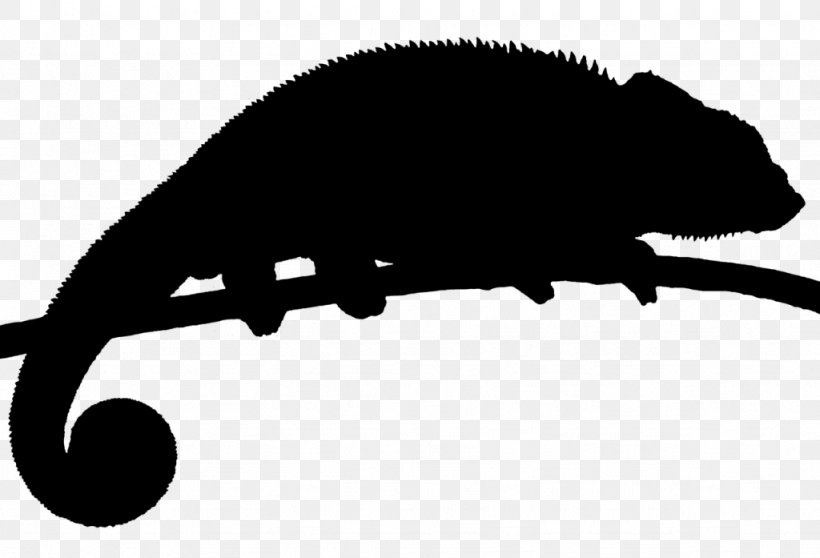 Clip Art Snout Fauna Silhouette, PNG, 1024x697px, Snout, Blackandwhite, Fauna, Iguania, Lizard Download Free