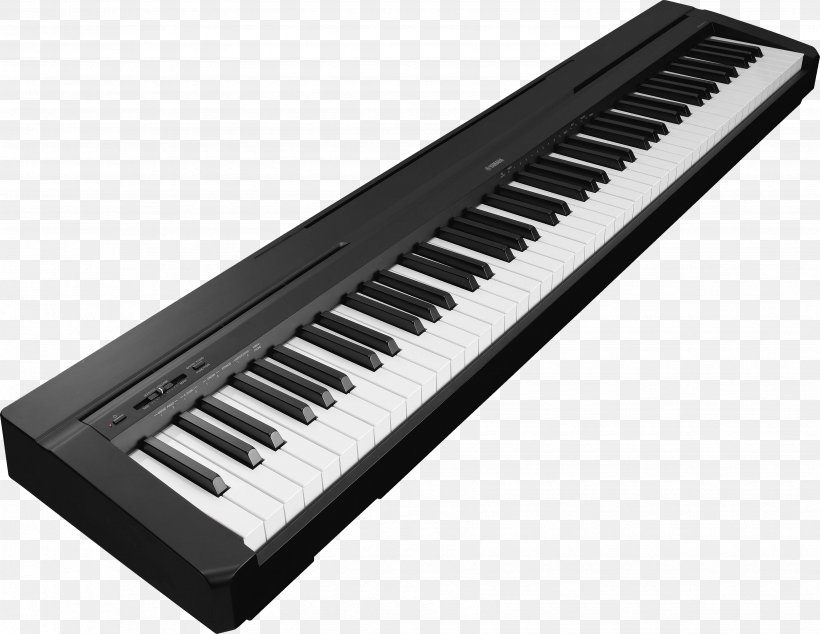 Yamaha P-115 Digital Piano Keyboard Action, PNG, 3504x2712px, Yamaha P115, Action, Computer Component, Digital Piano, Electric Piano Download Free