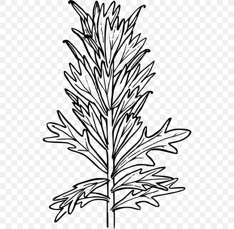 Coloring Book Paintbrush Clip Art, PNG, 522x800px, Coloring Book, Black And White, Branch, Color, Color Chart Download Free