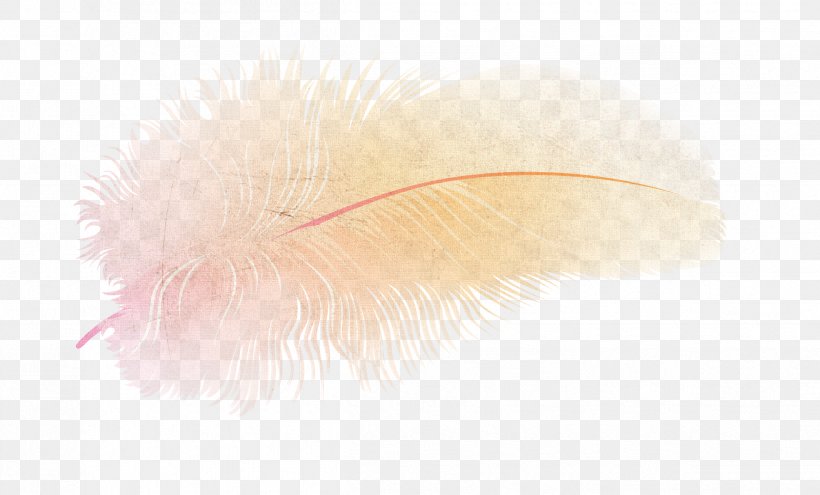Feather Computer Wallpaper, PNG, 2421x1464px, Feather, Computer, Wing Download Free