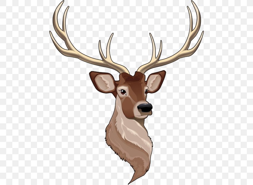 Reindeer White-tailed Deer, PNG, 502x600px, Deer, Animal, Antler, Child, Coloring Book Download Free